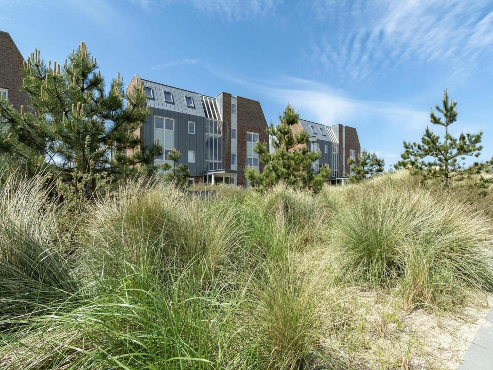 Alluring Coastal Apartment Callantsoog Eksteriør billede